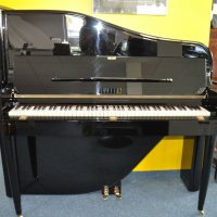 Gebraucht, Rippen, 140