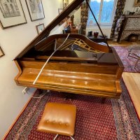 Usado, Bluthner, 10 (166)