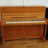 Gebraucht, Schimmel, C 121 Tradition