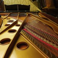 Usado, August Forster, 275