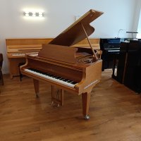 Used, Schimmel, K 175 Tradition