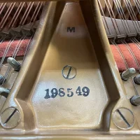 Usado, Steinway & Sons, M-170