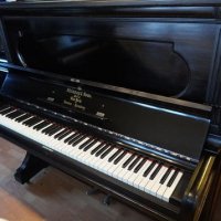Occasion, Steinway & Sons, K-132 (52)