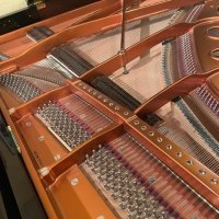 Usato, Bosendorfer, 214