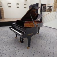 Occasion, Steinway & Sons, C-227