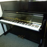 Används, Petrof, P 125