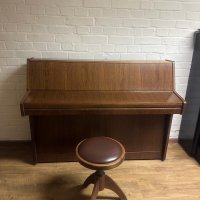 Usado, Schimmel, 103