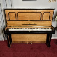 Occasion, Steinway & Sons, K-132 (52)