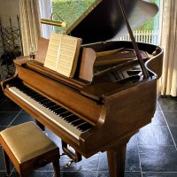 Usato, Schimmel, Altro