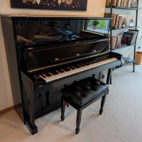 Używany, Steinway & Sons, K-132 (52)