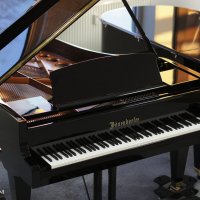 Used, Bosendorfer, 200
