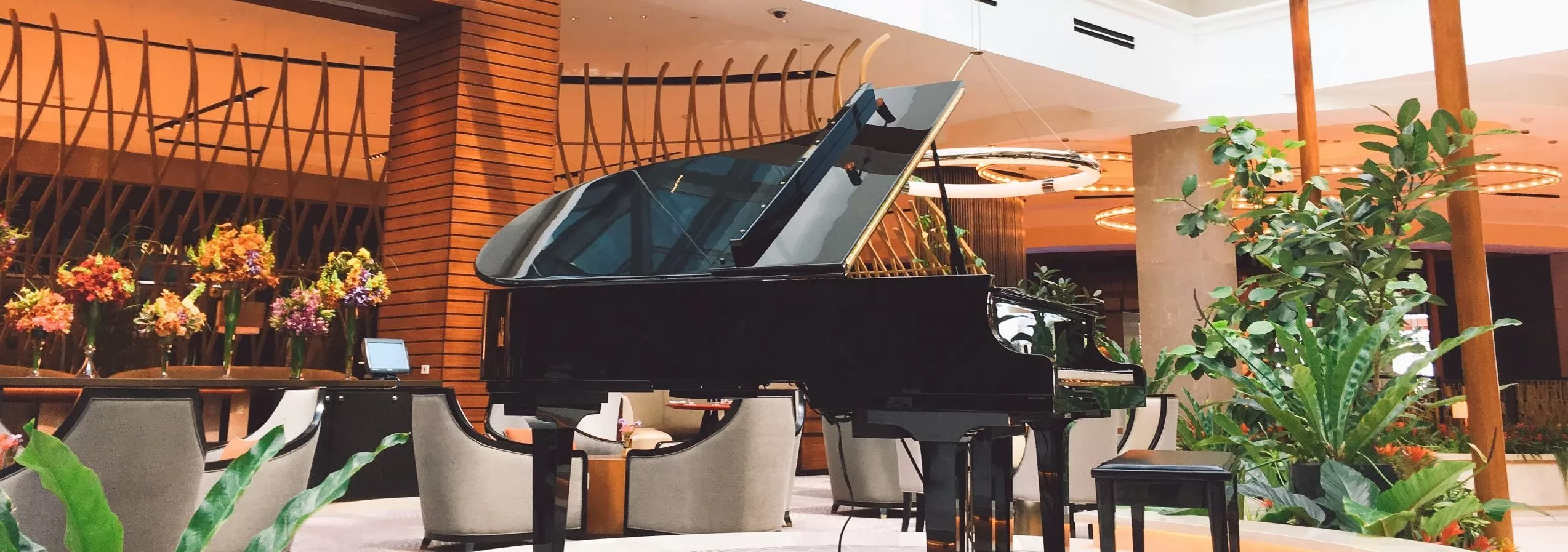 See the Top 3 most popular Concert Pianos among pianists