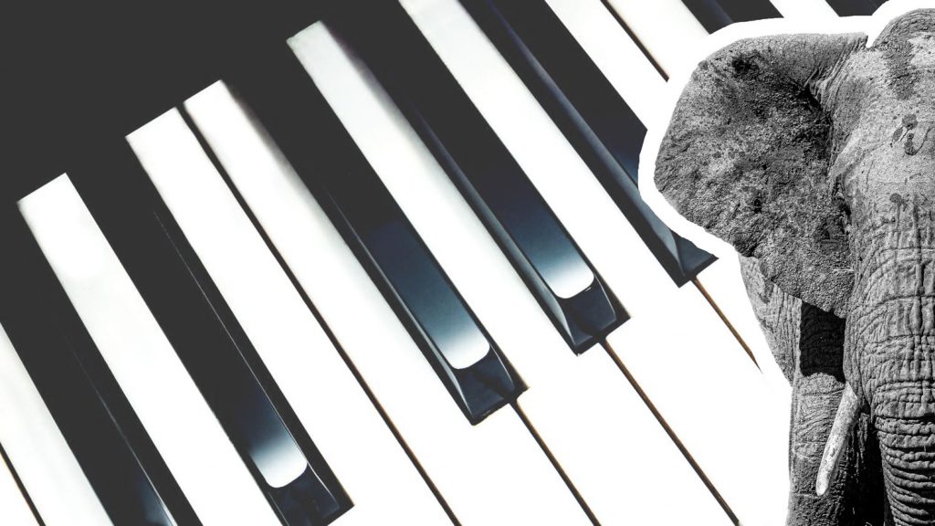 Vente de touches de piano en ivoire