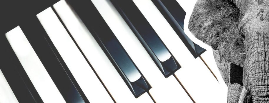 Is it possible to sell a piano with an ivory keys?