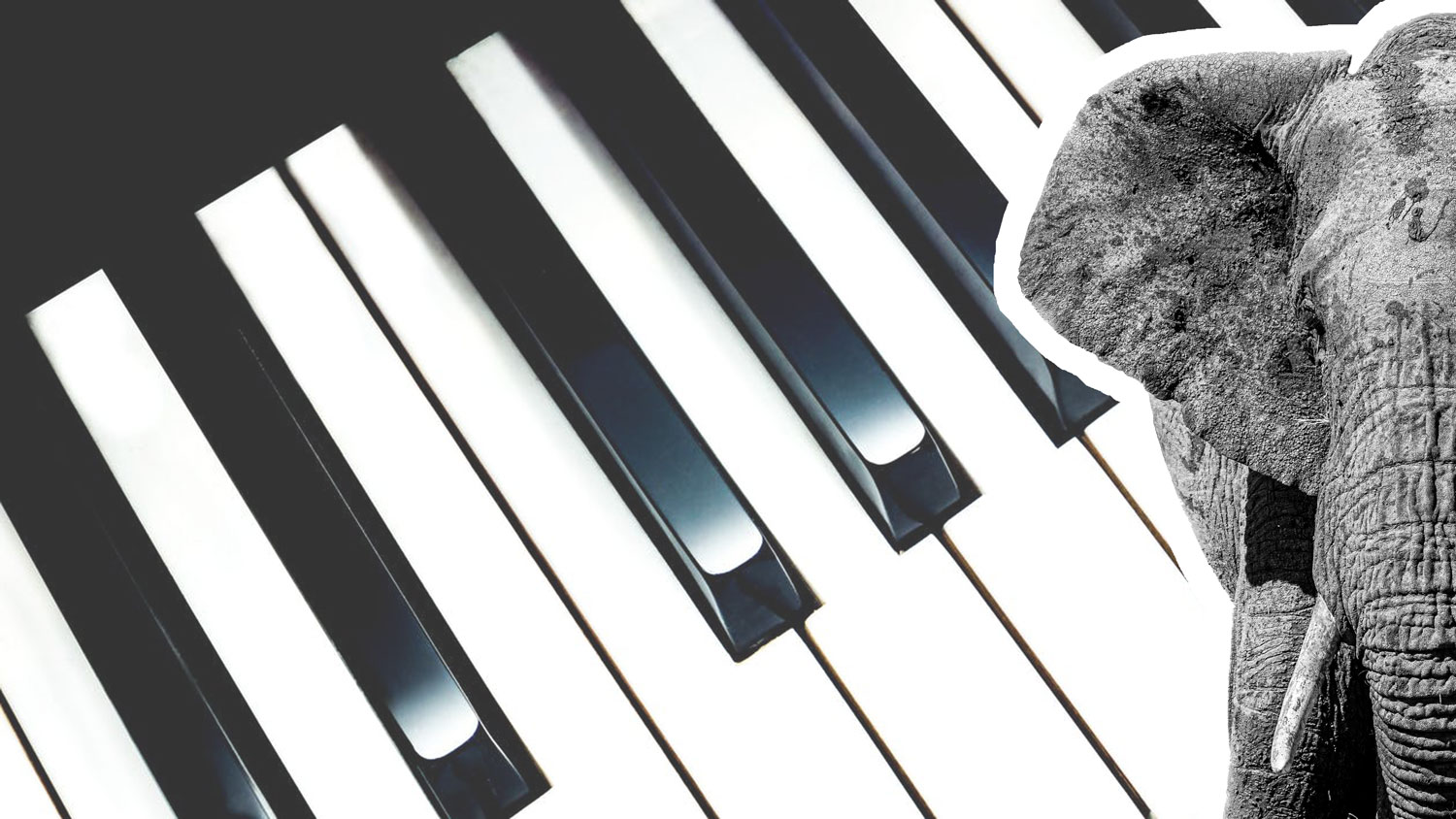 Est-il possible de vendre un piano avec un clavier en ivoire ?