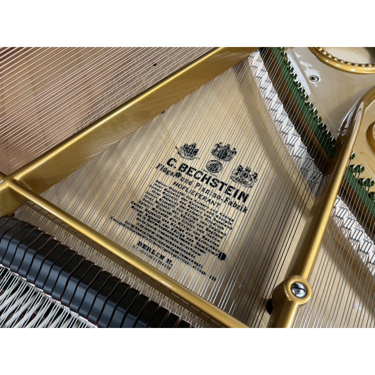 You can find a list of other royal clients on the resonance plate of C.Bechstein pianos