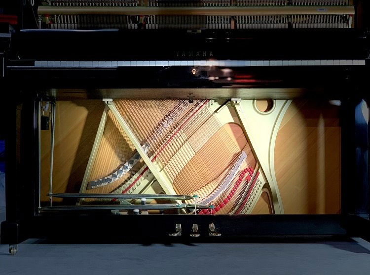 All'interno del pianoforte verticale - rimuovere le porte superiore e inferiore. Fate una foto delle corde, dei martelli, ecc.