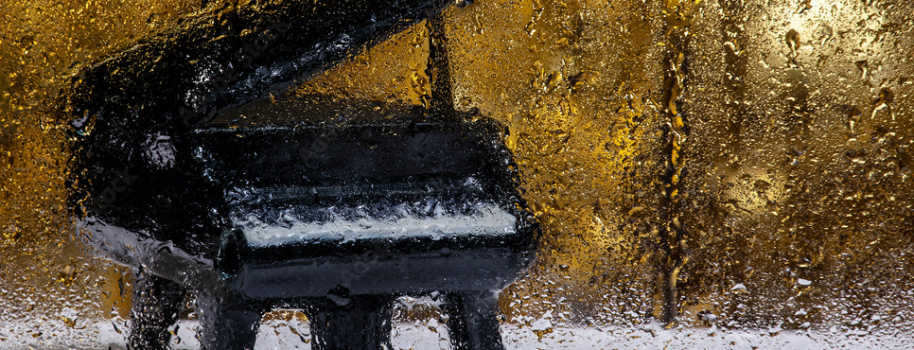 Capire l’umidità e il pianoforte – Piano Life Saver Sistemi completi di controllo dell’umidità per pianoforti